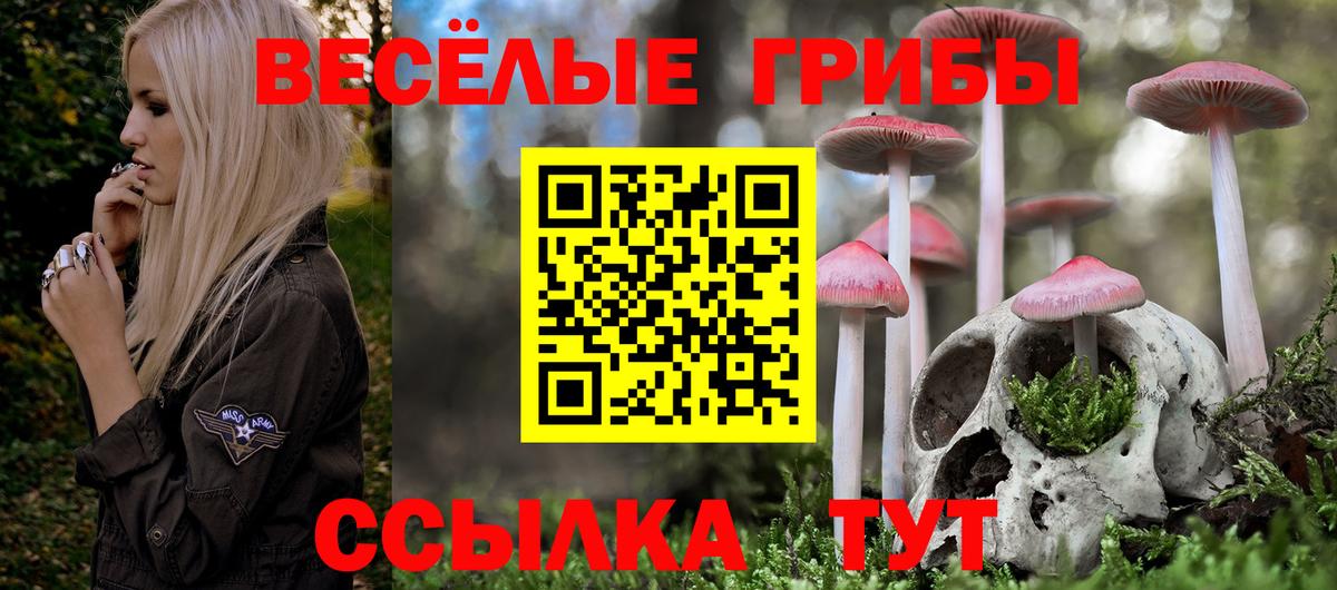 Галлюциногенные грибы мухоморы  Вход с VPN  Лесной  Псилоцибиновые грибы мицелий 