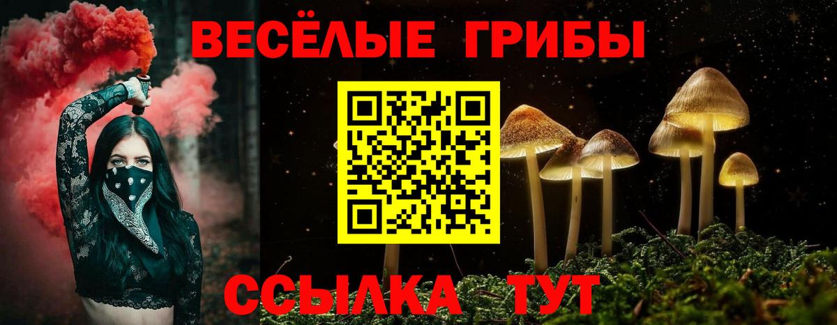 Галлюциногенные грибы MAGIC MUSHROOMS Лесной